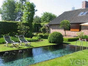 a natural swimming pond in a back garden